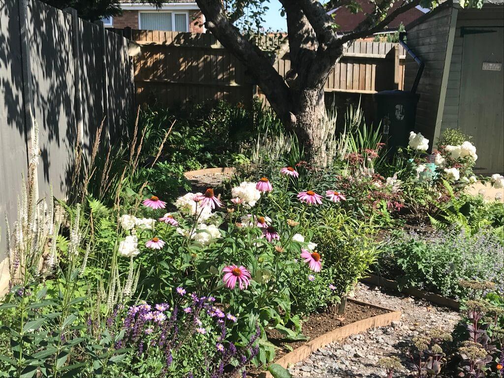 Kettering Town Garden