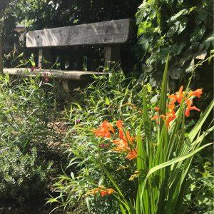Northamptonshire Primary School Garden