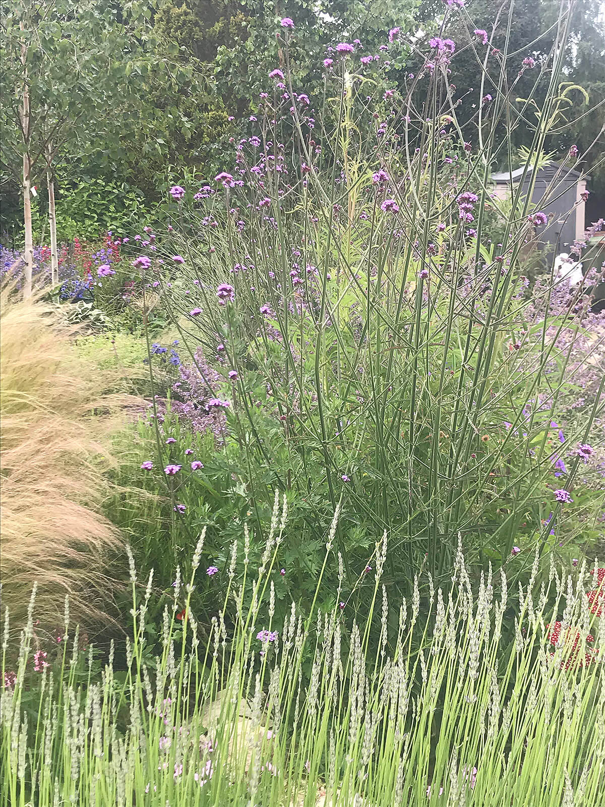 Plant Design for Small Existing Borders