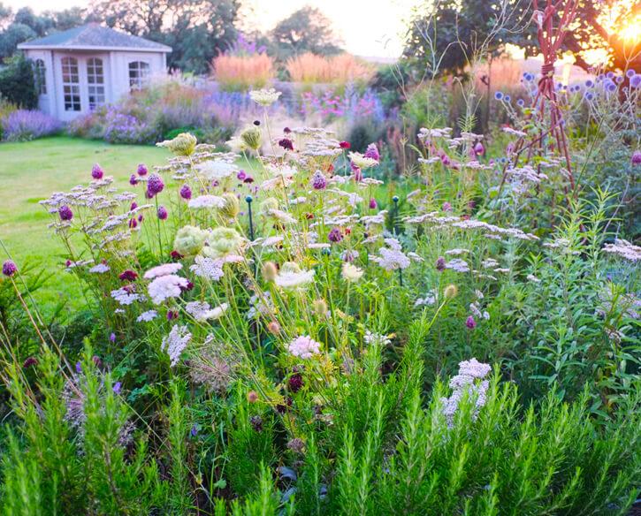 Lowick Design & Gardening Established Garden Designer