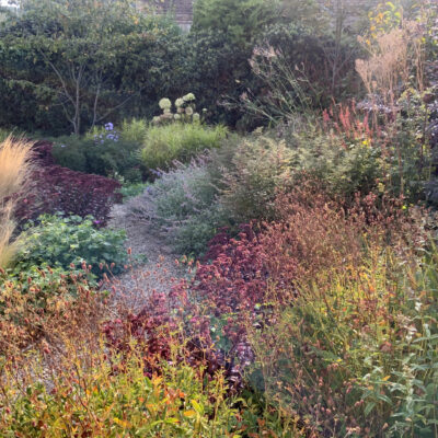 Autumn